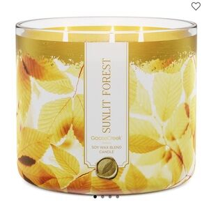 ☀️ GC Sunlit Forest 3-Wick Candle NEW